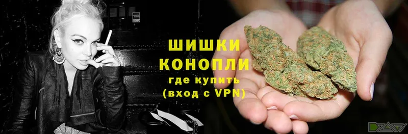 как найти закладки  Михайловск  Бошки марихуана THC 21% 